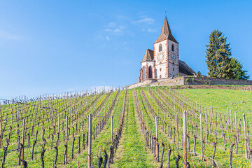 Fototapeta na wymiar The medieval church of Saint-Jacques-le-Major in Hunawihr, village between the vineyards of Ribeauville, Riquewihr and Colmar in Alsace wine making region of France