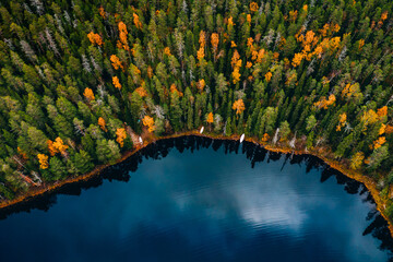 Aerial view of fall colour forest and blue lake in Finland.