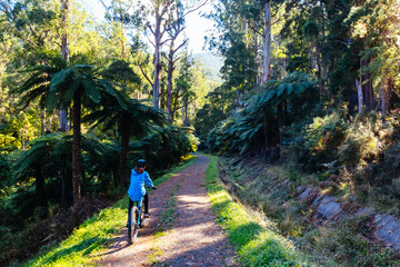 O'Shannassy Aqueduct Trail near Warburton in Victoria Australia