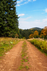 Fototapeta na wymiar landscape from autumn