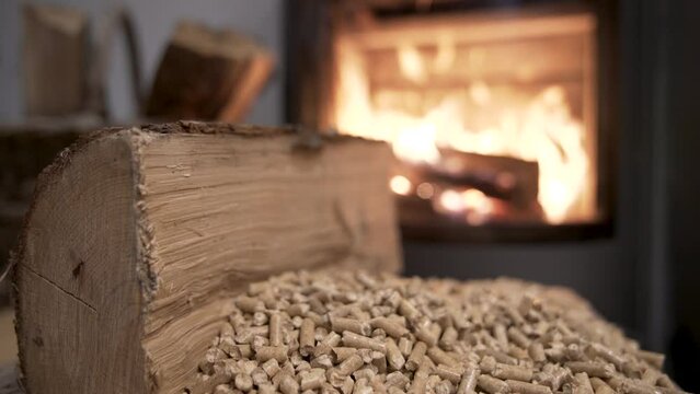 wood burning stove heating the house - choice between firewood or pellets