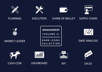 Management vector icon set in flat design and dark mode
