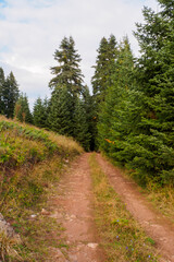 landscape from autumn