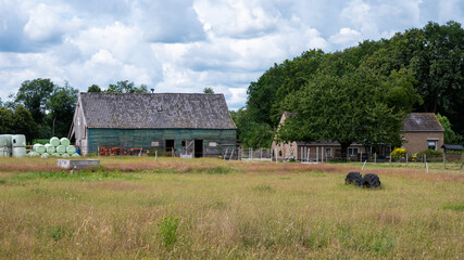 Uffelte, Holtingerveld, The Netherlands, Farmhouse and agriculture field in the Holtingerveld heather