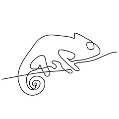 Drawing a continuous line. Chameleon on white isolated background
