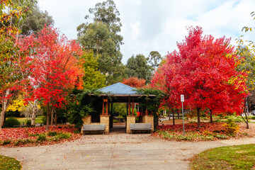 Marysville in Autumn Colours in Australia