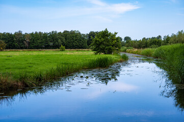 Fototapeta na wymiar Wetland nature reserve with blue water of the lake, green grass over blue sky around Onlanden