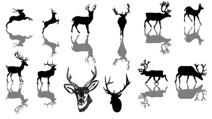 Silhouette images of reindeer with shadow effects