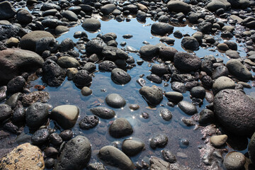 The beach on a sunny day. shingle.

