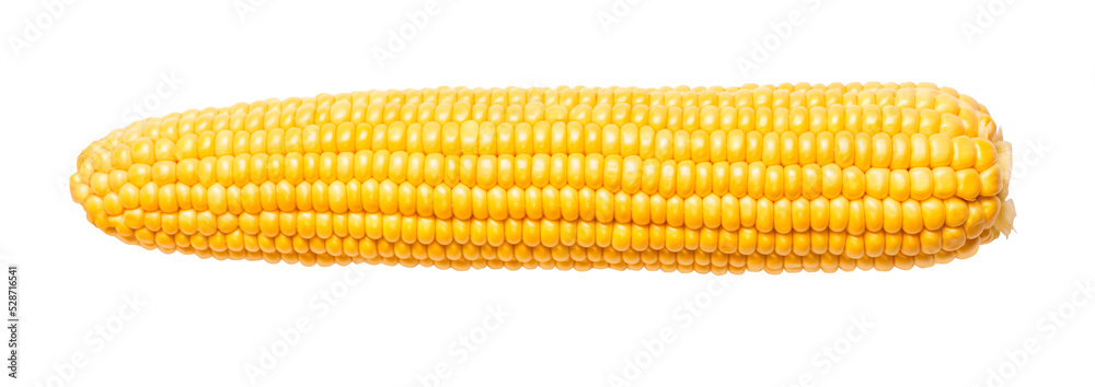 Canvas Prints Yellow Corn isolated