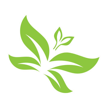 butterfly Leaf leaves logo green vector  image