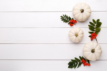 Fototapeta na wymiar White decorative pumpkins