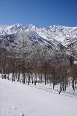 Hakuba Valley の冬景色