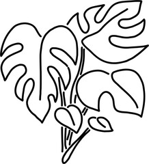 Simplicity monstera plant freehand drawing flat design.