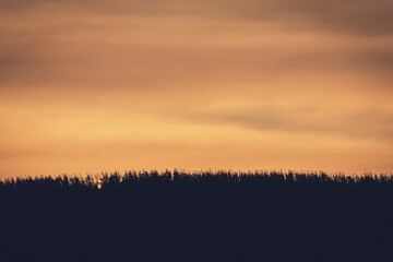 Mountain silhouette with golden sunlight. Beautiful landscape of the nature.