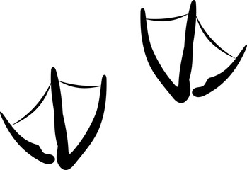 Foot prints of goose or swan bird fowl trace marks