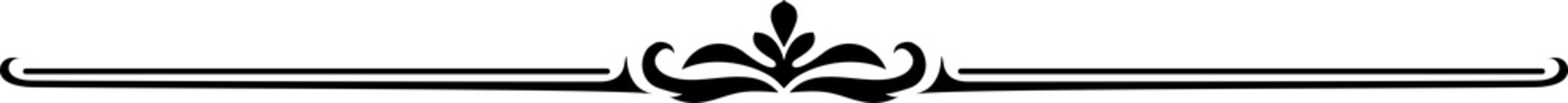 Separator, calligraphy line isolated text divider