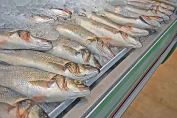 fresh fish closeup with silver scales and flippers under cold ice on glass shopwindow aka showcase in mall window, modern shopping refrigerator aka cold storage, food refrigerating diversity