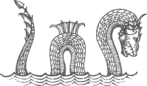 Ancient sea serpent dragon leviathan animal sketch