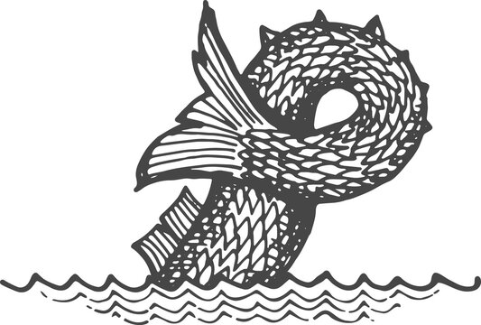 Selma monster, water beast sea serpent dragon tail
