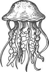Medusa hand drawn jellyfish isolated sea creature