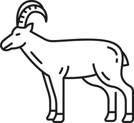 Goat domestic animal isolated livestock mammal