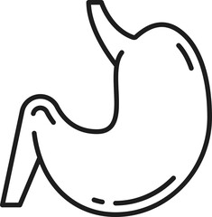 Human stomach digestive system organ isolated icon