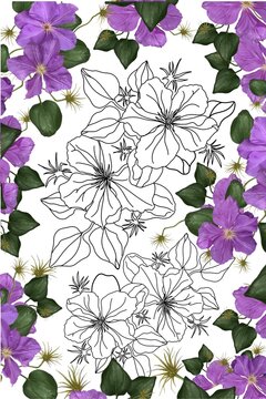 climber from climatis flower in doodle style coloring book, coloring page for children and adults © TanyaArt