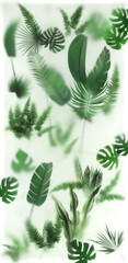 Naklejka na ściany i meble Green plants composition behind the glass with backlight. Size 1200 x 2500 mm. Layout for printing on thin film. 3d rendering. It can be used in interiors instead of real plants.