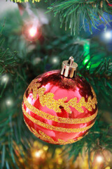 a shiny round ball on the green branches of the Christmas tree for the New Year holiday