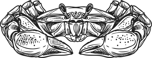 Crab drawing vector isolated crustacean animal - obrazy, fototapety, plakaty
