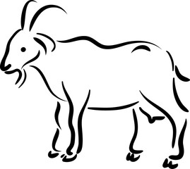 Ram chinese horoscope goat sheep lunar holiday CNY