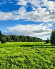Obraz premium green field and blue sky