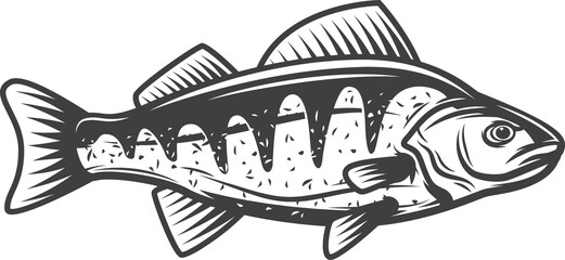 Perch, freshwater fish, fishing and marine food