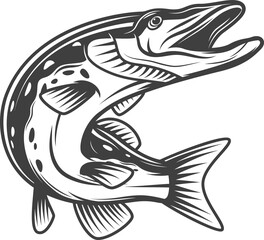 Pike, freshwater fish, pickerel or walleye fishing