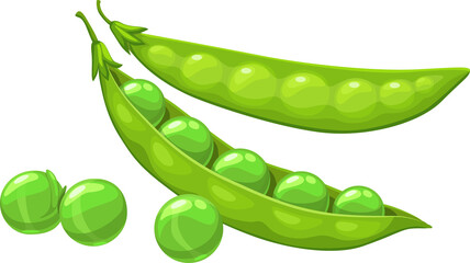 Green pea pods and seeds cartoon vector plant