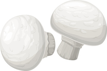 Champignon mushrooms natural vector vegetable