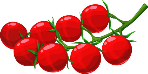 Ripe tomato cherry bunch, vector vegetables branch