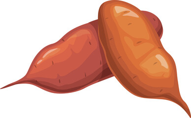 Sweet potato natural vector vegetable, red yam