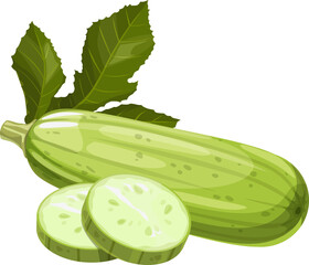 Fresh squash vegetable marrow vector natural plant