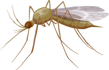 Mosquito icon, insect parasite and pest control