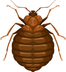 Bedbug icon, insect parasite, bed bug pest control