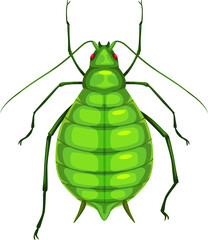 Aphid, insect parasite bug pest control, greenfly