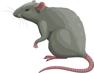 Rat icon, pest control extermination, deratization