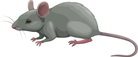 Mouse icon, pest control, rodents extermination