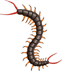 Centipede icon, pest control insects disinsection