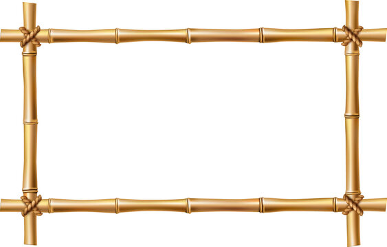 Bamboo frame isolated vector rectangle border icon