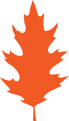 Orange hawthorn leaf isolated plant foliage icon