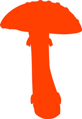 Mushroom fly agaric isolated inedible fungi icon