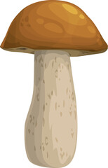 Mushroom boletus or cep vector icon, cartoon plant